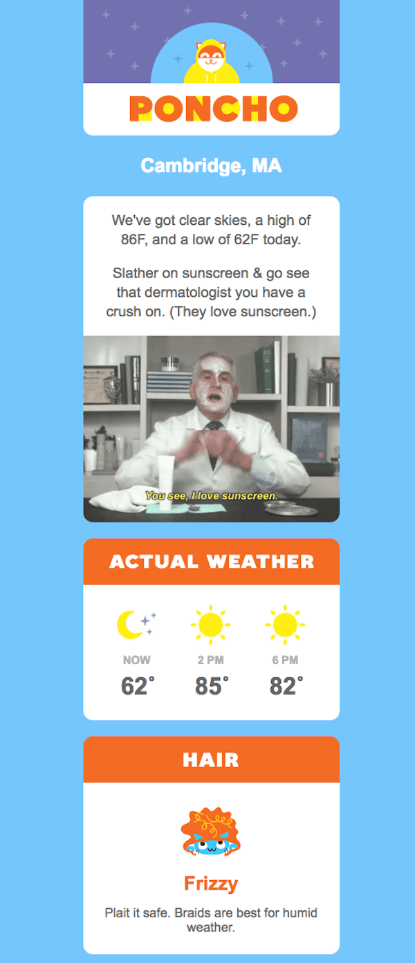 great newsletter examples-Poncho